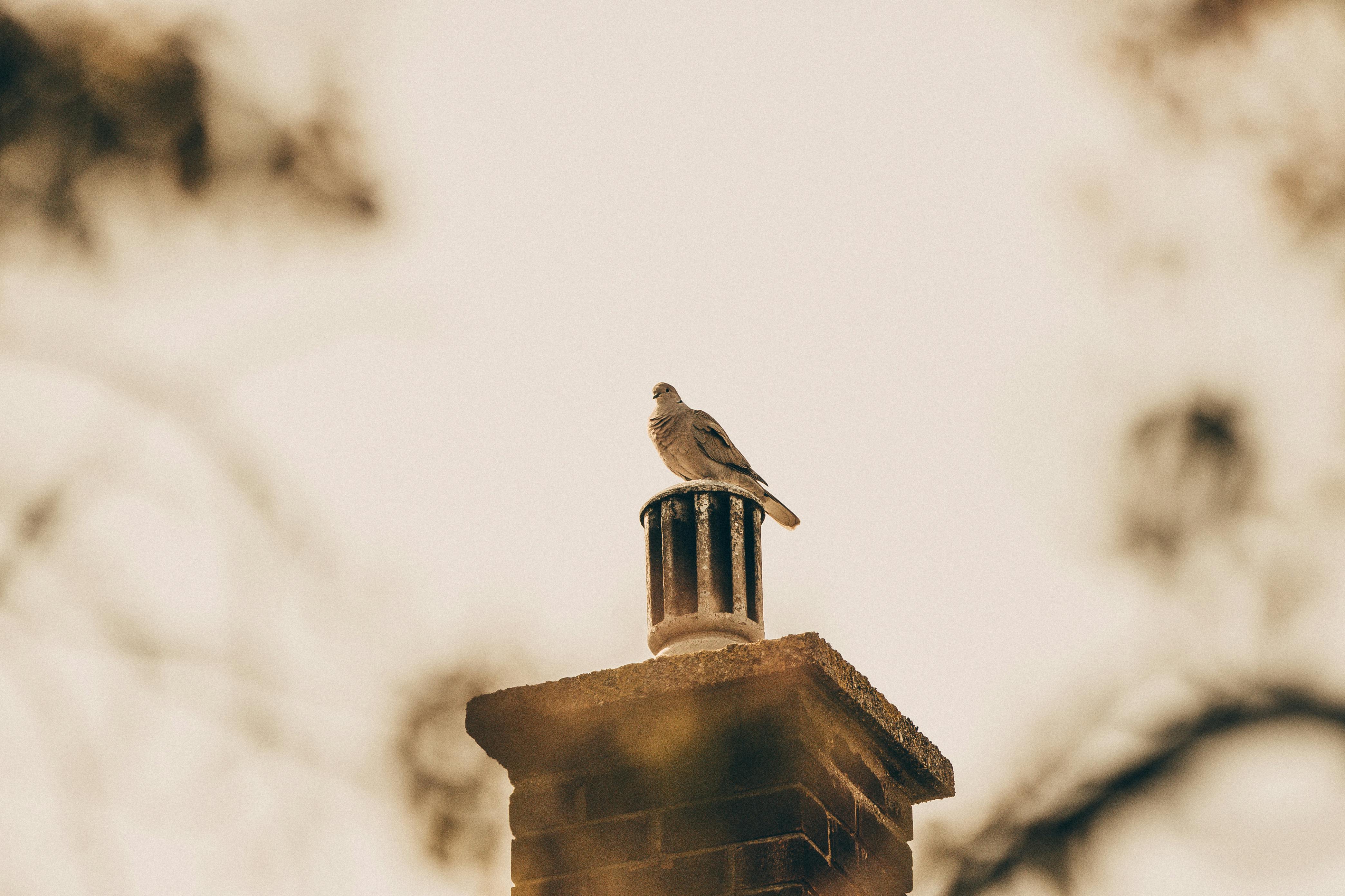 Expert Chimney Cap Installation in Midway City, California